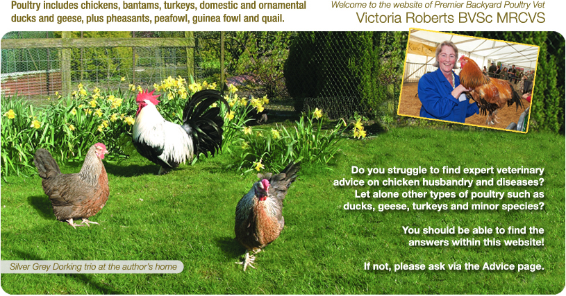 Welcome to VicVet